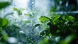 © Anna - nutrient misting system in an aeroponic setup, highlighting how plants are nourished efficiently without soil