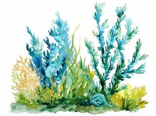 Wall Mural - Seaweed and watercolor hand drawn illustration isolated on white.
