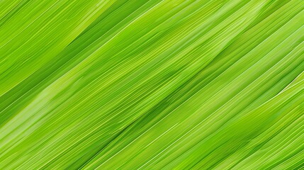 Green tropical plant close-up