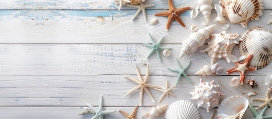 Poster - Attractive beach scene in summer with decorations and seashells on a white wooden surface, panoramic view with room for text