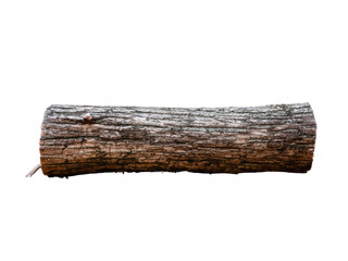 old log isolated on white background