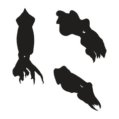 Wall Mural - Cuttlefish Silhouette Vector Illustration Set 