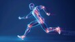 © caucul - Digital Anatomy of a Runner in Motion