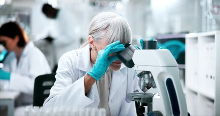 Poster - Medical, microscope and science with woman in laboratory for breakthrough, discovery or experiment. Innovation, medicine and research with mature scientist at work on cure or vaccine for biology