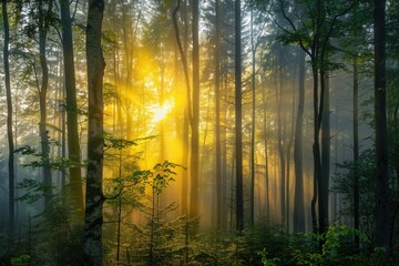 Aufkleber - A serene forest scene at dawn with golden sunlight filtering through the trees, creating a mystical atmosphere. Generative AI