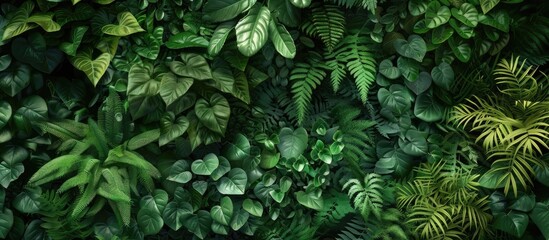 Wall Mural - Green Forest Nature Wall: Herb Wall, Plant Wall, Natural Green Wallpaper and Background