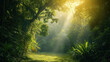 © YULIYA - Sunlight in the morning in the tropical jungle. Nature background.