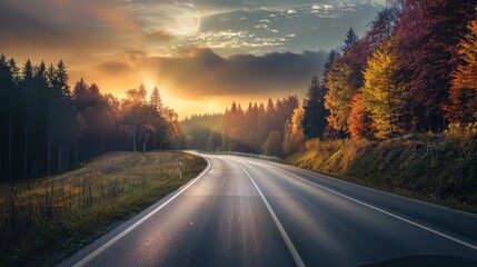 Wall Mural - Autumn Road Through the Forest at Sunset