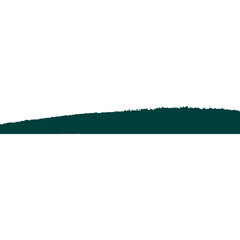 Wall Mural - Modern Brush Footer