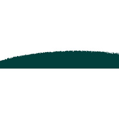 Wall Mural - Modern Brush Footer