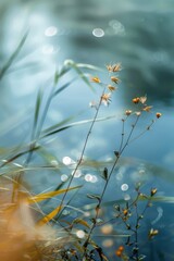 Wall Mural - Delicate Blooms Against a Blurred Water Background