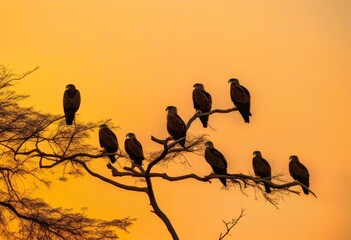 a group of crows perched on a tree branch with the moon in the background