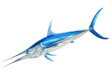 beautiful blue marlin side view full body isolated on white background