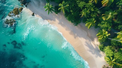 Wall Mural - Aerial View of a Tropical Beach