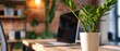 © JK_kyoto - A dynamic incubator environment where startups receive mentorship and resources to refine their ideas