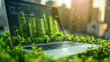 © Mehran - Professionals plan eco-friendly business strategies on laptops. The 'Net Zero' concept aims to eliminate carbon emissions, protect the environment, and promote sustainable energy practices.