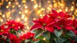 © Wanlop - Vibrant red poinsettia flowers bloom majestically against a soft, blurred backdrop of twinkling lights, providing ample space for festive textual overlays.
