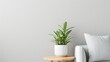 © lililia - A white couch with decorative pillows and a potted plant sits in a minimalist living room