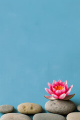 Poster - Zen garden with smooth pebbles and a single pink lotus flower against ethereal pastel hues watercolour illustration 