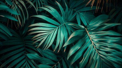 Wall Mural - Abstract natural floral Green tropical plant close-up background