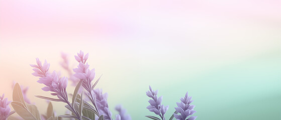 Poster - Lavender Blooms in Pastel Light