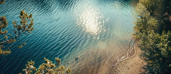 Wall Mural - Sunlight on sandy lake with gentle ripples, clear pond seen from above on sunny day