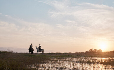 Poster - Horse riding, friends and people in countryside at sunset outdoor on vacation, holiday or travel. Equestrian, animals and women on horseback in field on adventure, journey and race together in nature