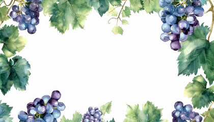 Wall Mural - A painting of grapes and vines with a white background