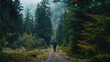 © Karolis - A lone hiker, equipped with a backpack and walking sticks, traverses a lush, misty forest trail surrounded by towering pine trees.