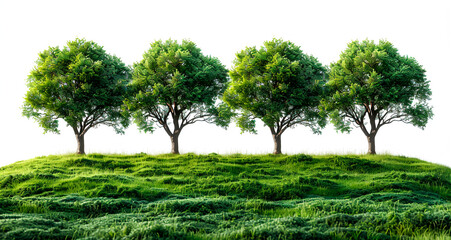 .5 trees lined on a green grass field with an isolated white background.