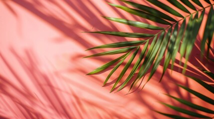 Wall Mural - Palm leaf casting shadow on pink background, surreal summer concept