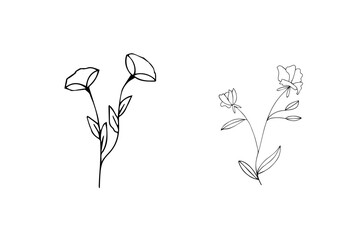 Wall Mural - Simple floral line art style design silhouette vector isolated