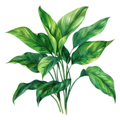 Wall Mural - A beautiful green plant with vibrant leaves, ideal for home decor and indoor gardening enthusiasts.