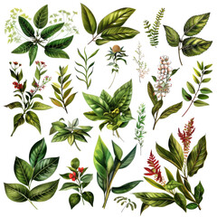 Wall Mural - Collection of various green and colorful botanical leaves and flowers in a detailed, hand-drawn illustration style.