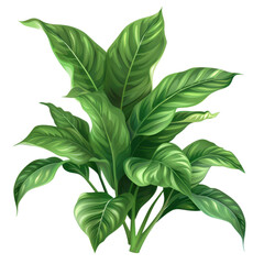 Wall Mural - Vibrant tropical plant with lush green leaves. Perfect for nature, garden, or indoor decor themes. High-quality botanical illustration.