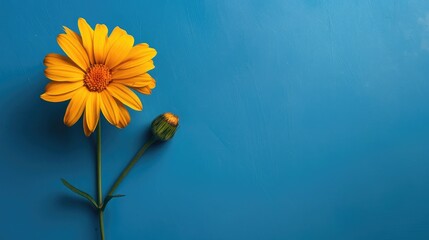 Canvas Print - Yellow flower on blue backdrop with room for text