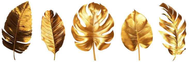 Elegant golden tropical monstera leaves collection Set of 3 with smooth curves