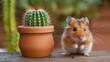 © TheWaterMeloonProjec - Portrait of curious hamster next to cactus showing care for pets