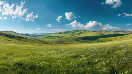 Wall Mural - Serene Meadow Landscape with Rolling Hills and Blue Sky