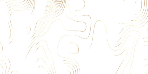 Abstract Topographic map background with wave line. wave Line topography map contour background. 3D Papercut Stylized White topographic contour scheme and terrain. paper cut topography soft background