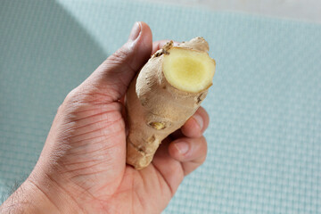 Wall Mural - A view of a hand holding a piece or ginger.