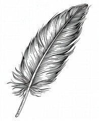 Sticker - a black and white feather on a white background