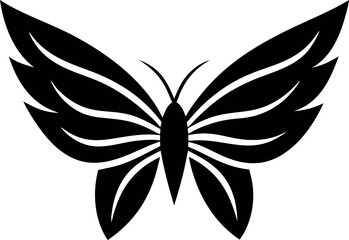 Wall Mural - A black and white butterfly with a long tail