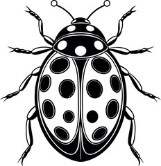 Wall Mural - A black and white drawing of a ladybug with many dots on its back