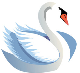 Wall Mural - A white swan with orange beak and orange feet