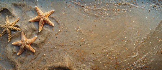 Canvas Print - Concept of summer seaside or coast. Starfish on sandy shore from above. Empty space for text. Wide horizontal image.