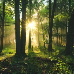 Wall Mural - Sunlight streaming through lush green forest with dense trees and foliage