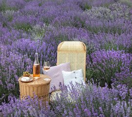 Wall Mural - Glass of white wine in a lavender field. Violet flowers on the background.