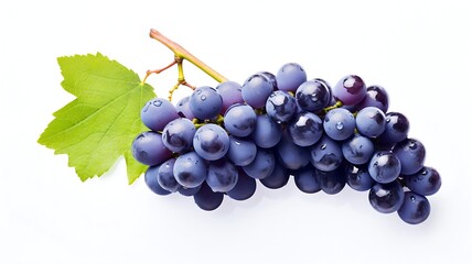 Wall Mural - Blue grapes fruit on white background