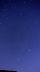 Wall Mural - starry night sky